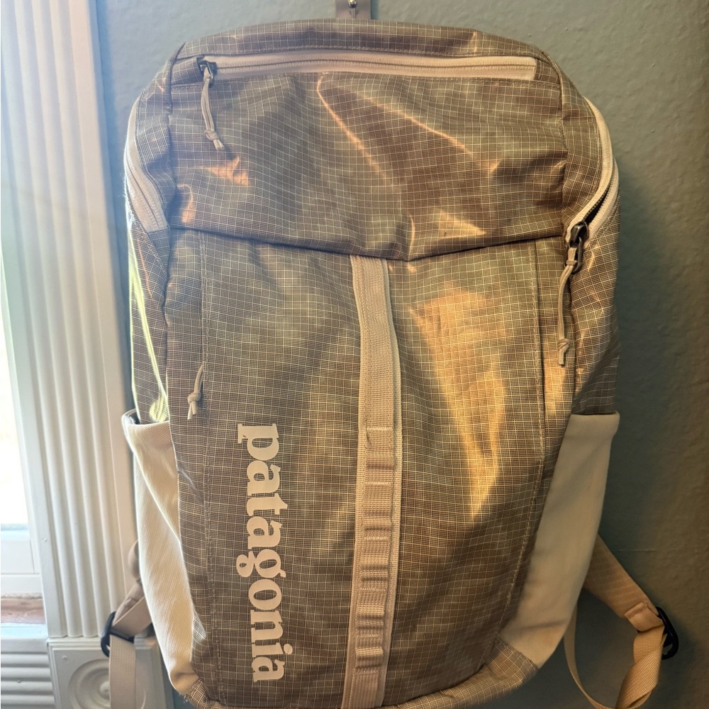 Patagonia Backpack